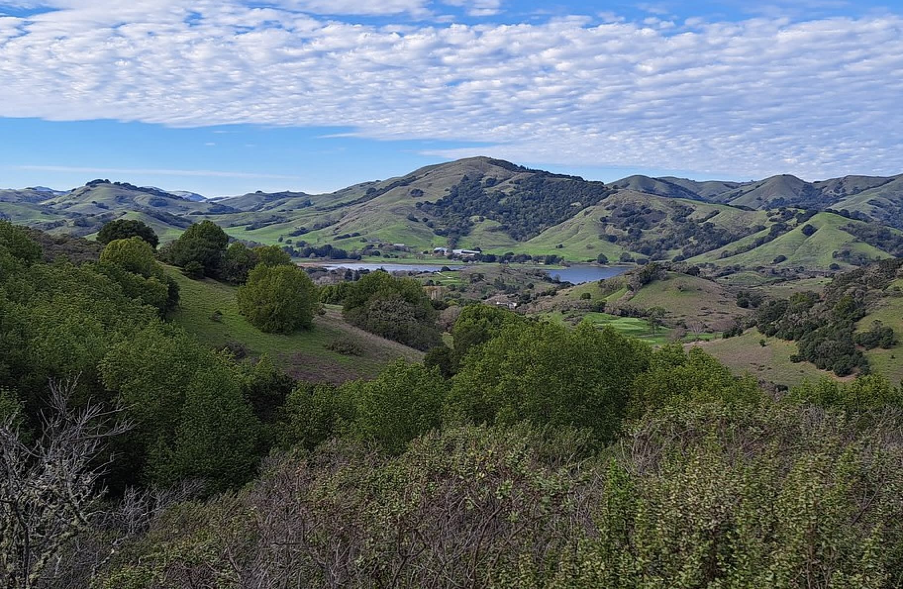 Indian Tree Open Space Preserve
