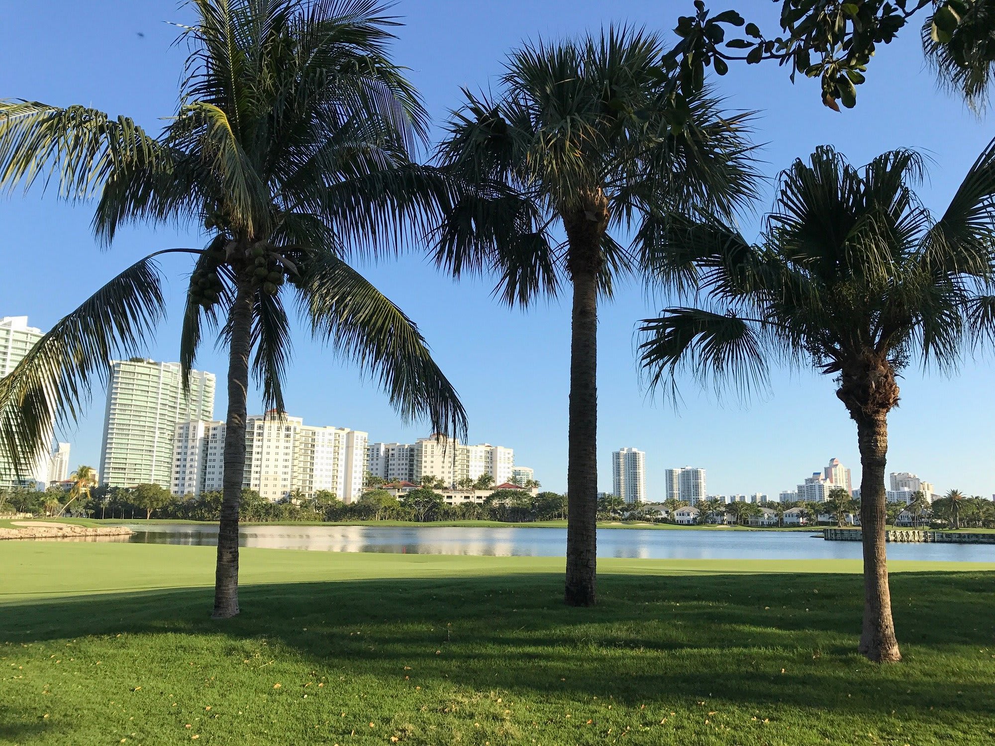 Don Soffer Exercise Trail