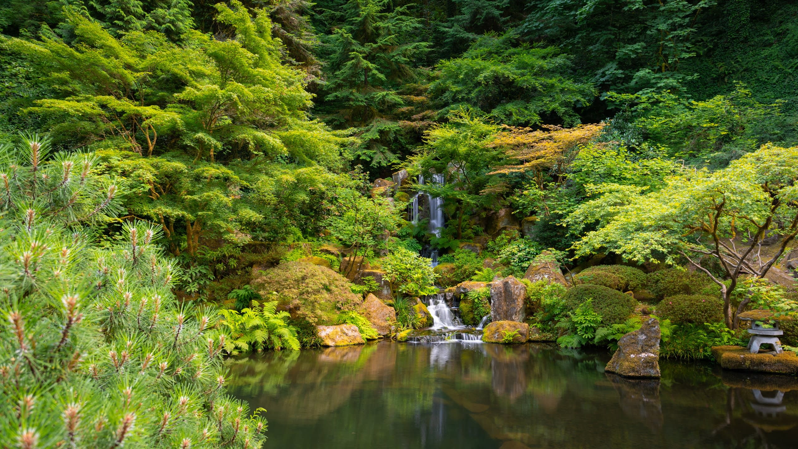 Portand Japanese Garden