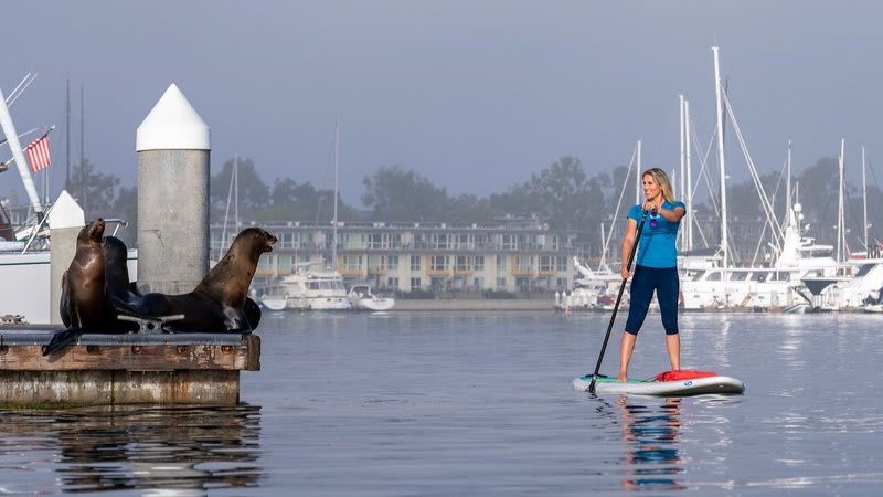 Marina del Rey Paddleboarding