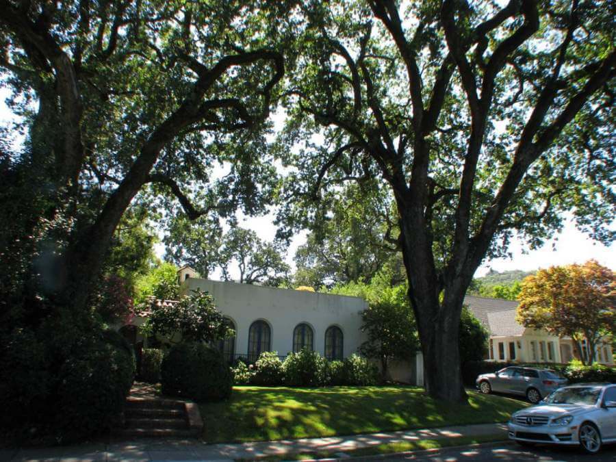 Yolanda & Calumet Parks Neighborhood