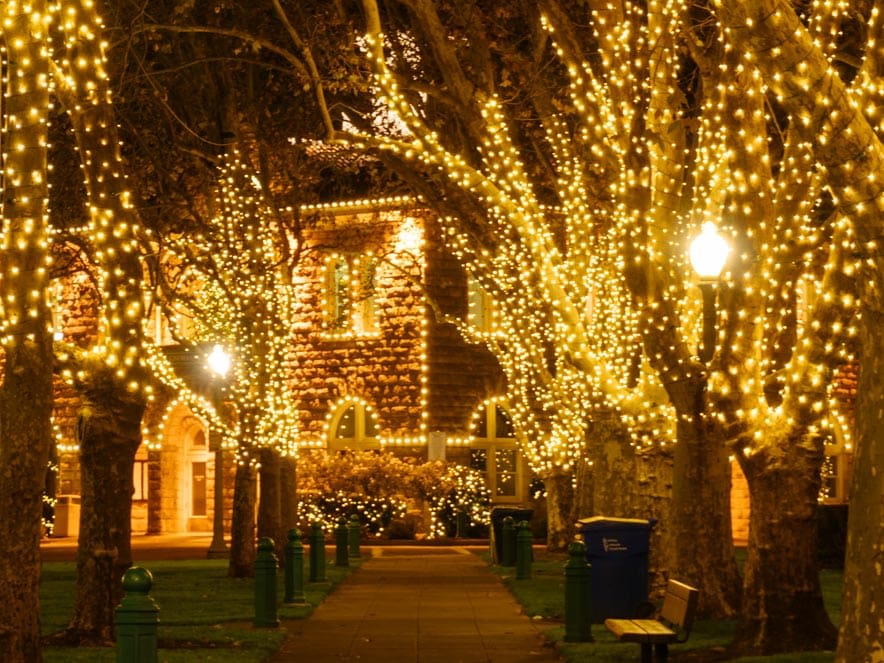 Sonoma Plaza Holiday Lights