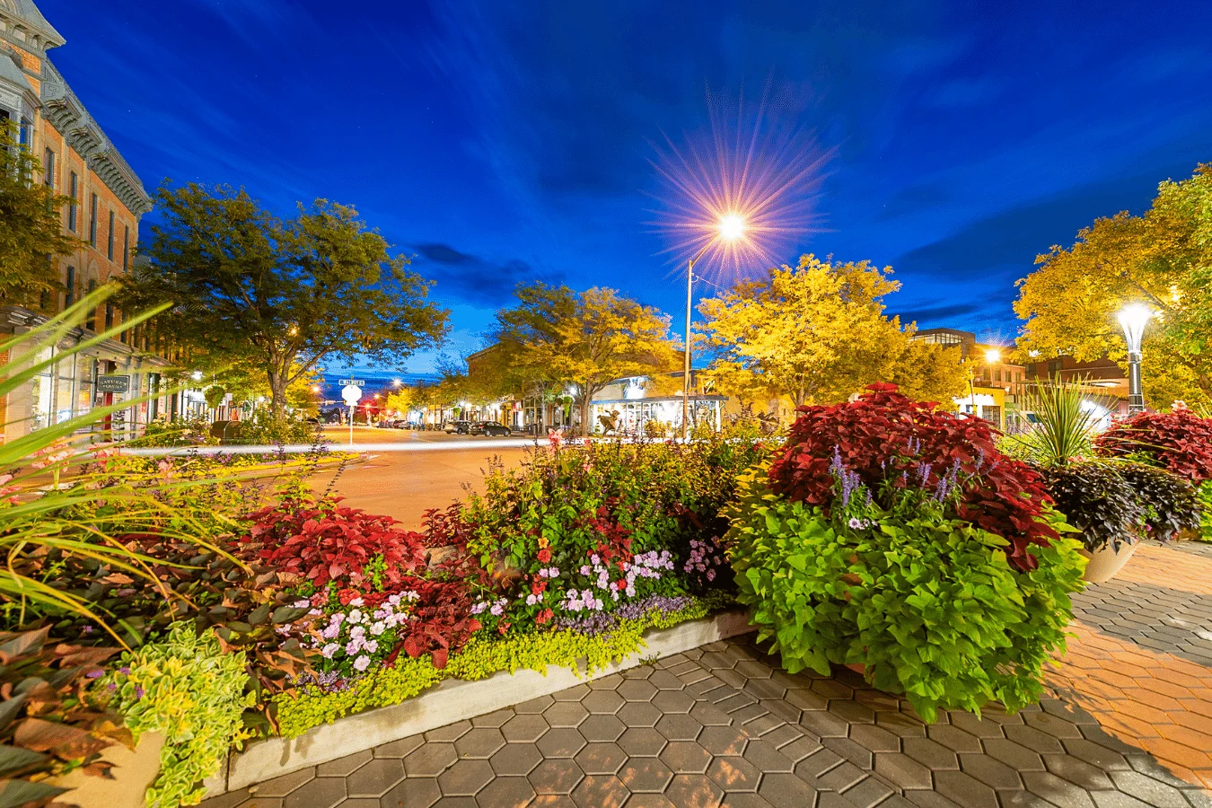 Terry Point Neighborhood