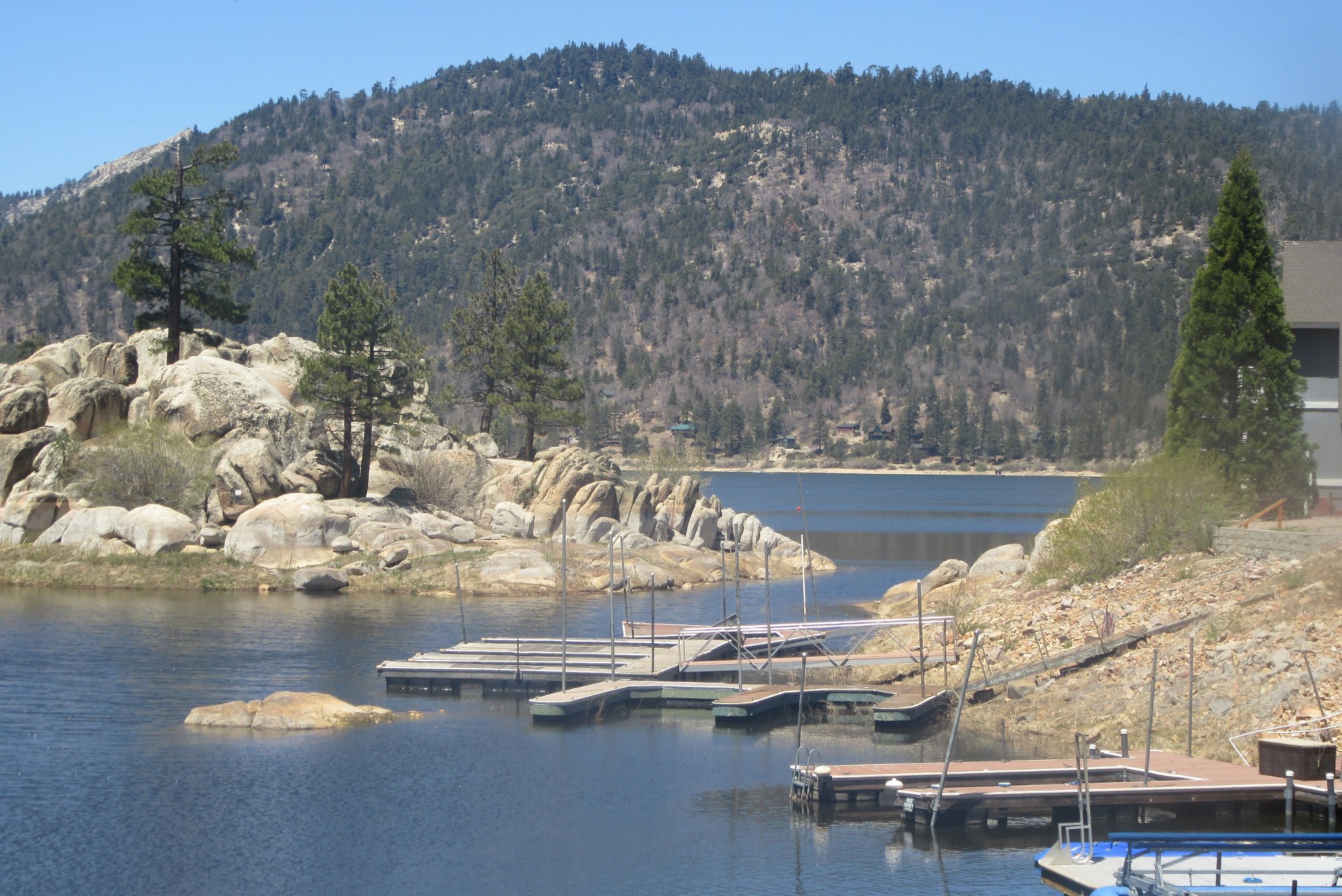 San Bernardino National Forest