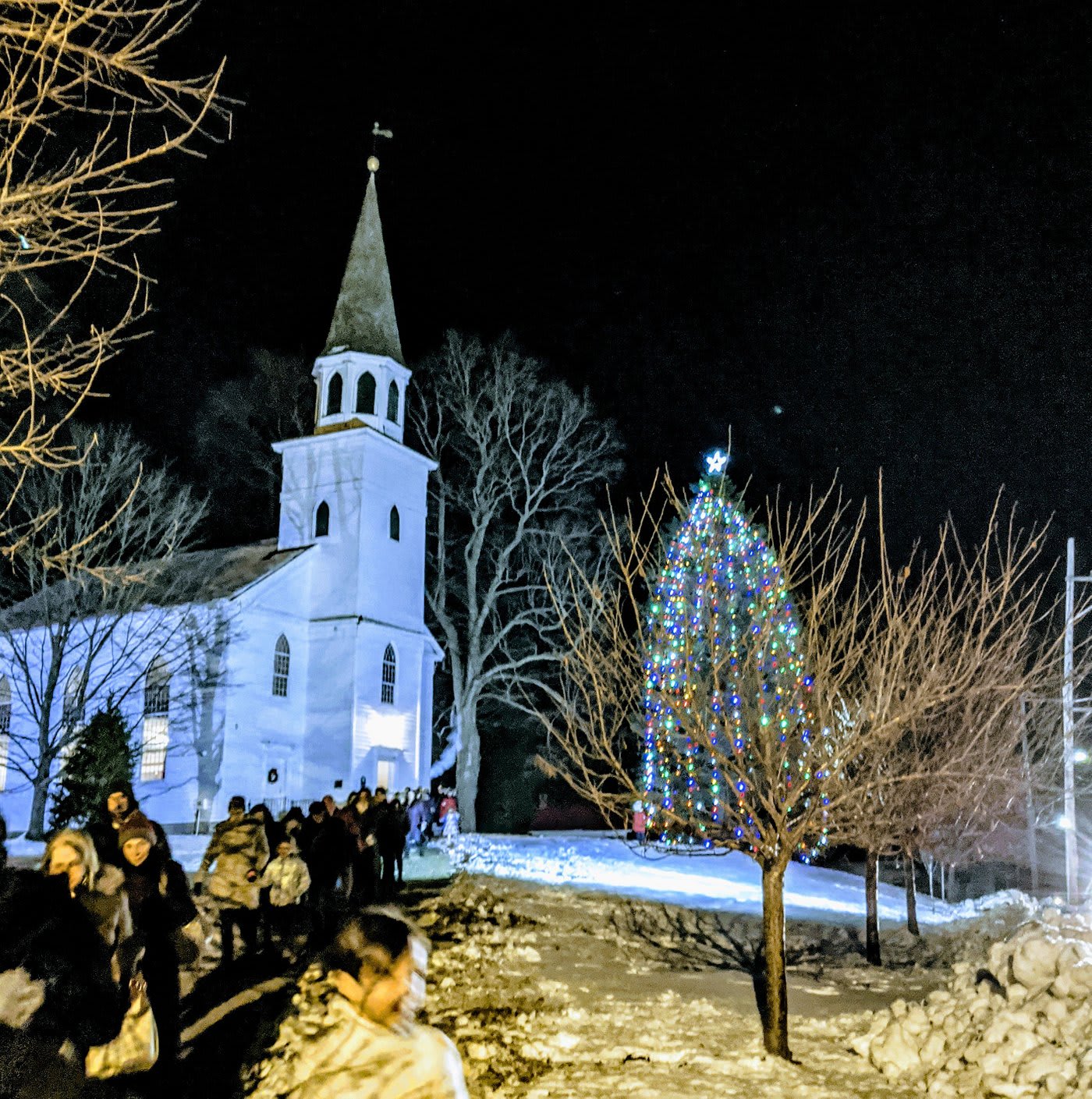 Holiday Season Warwick