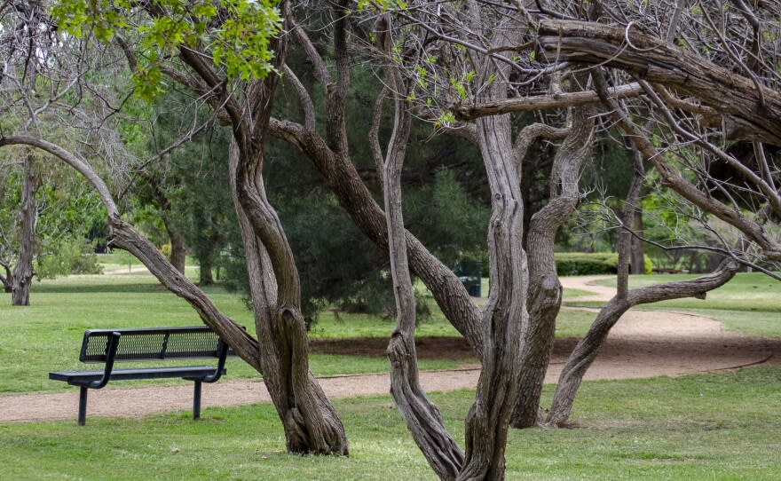 Memorial Arboretum Foundation