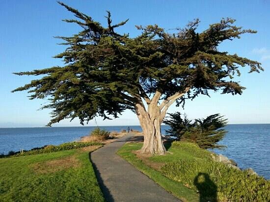 San Bruno Point Park