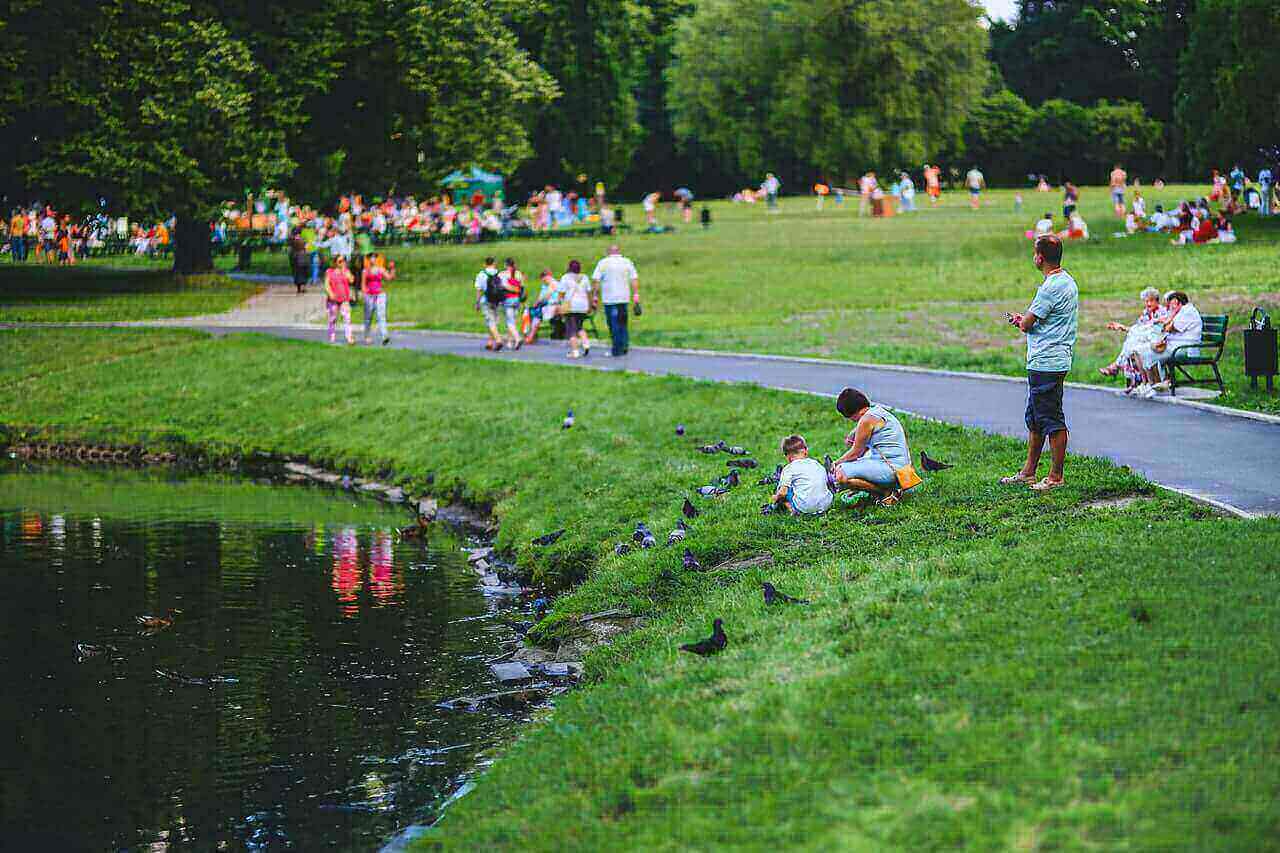 Morgan Falls Overlook Park