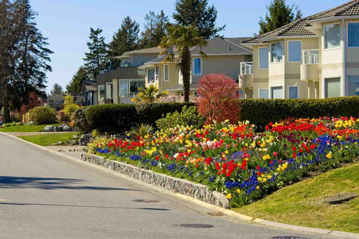 Old Poway Neighborhood