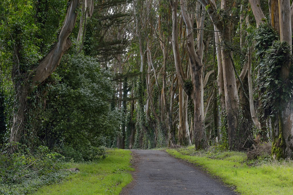 San Bruno Mountain State Park