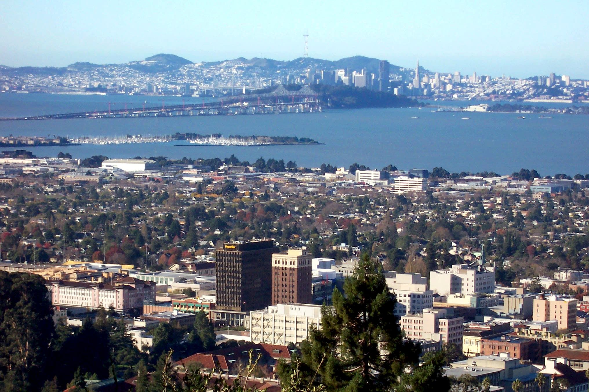 Berkeley Aerial