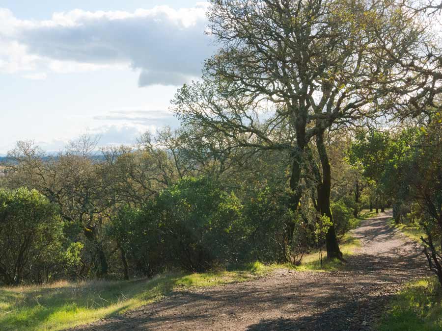 Foothill Regional Park