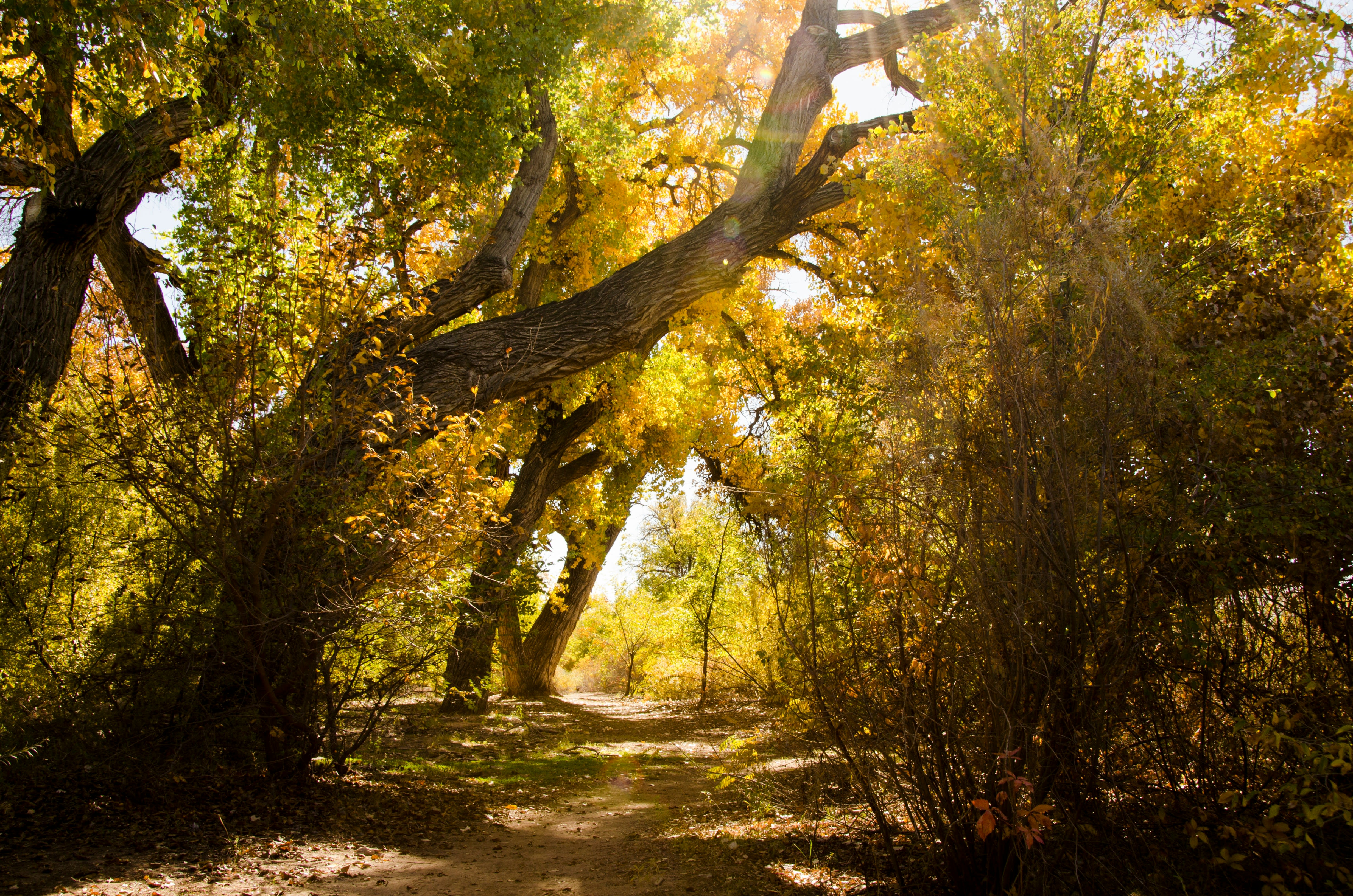 Alameda Open Space Los Ranchos de Albuquerque