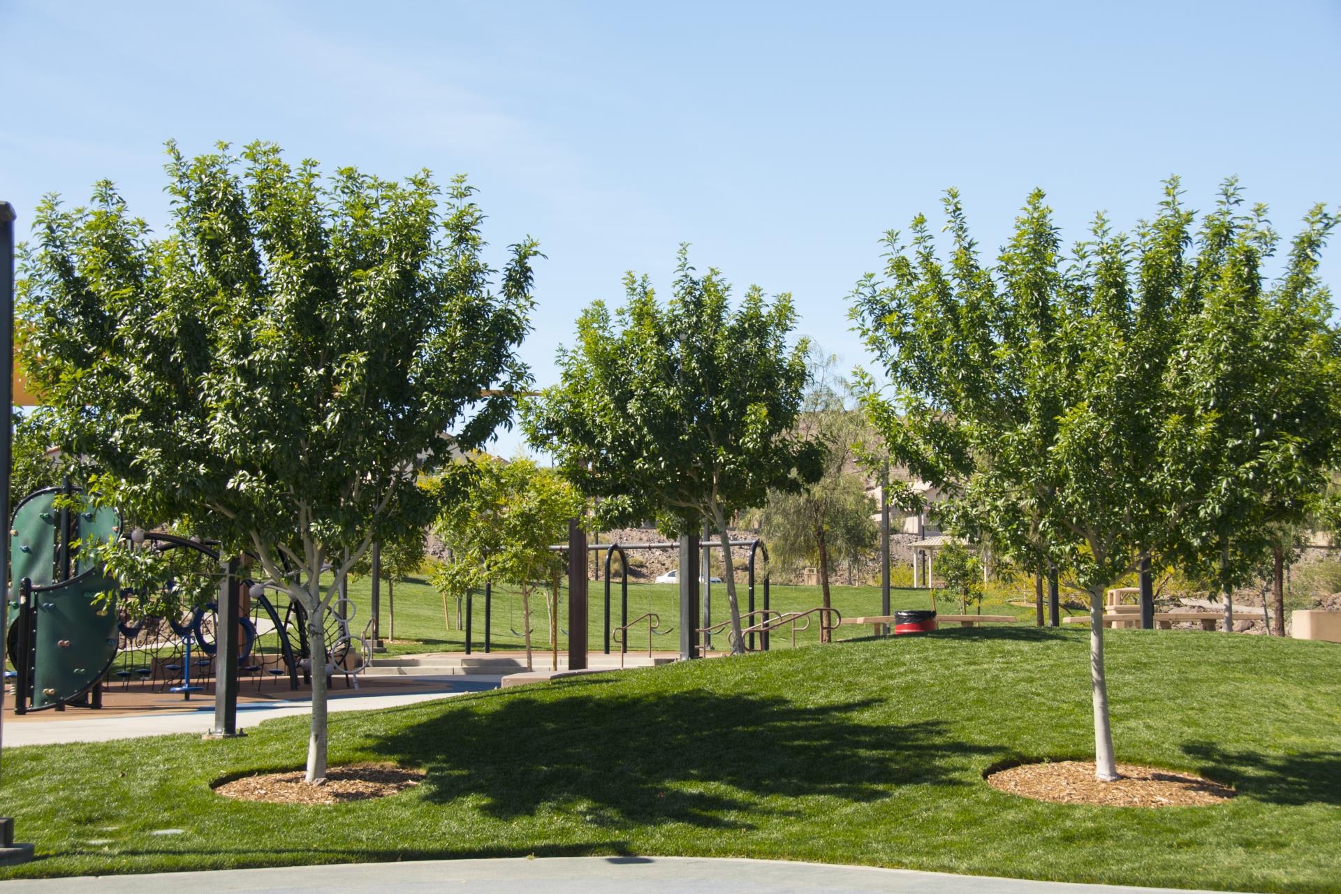 Hidden Falls Park And Amargosa Trailhead