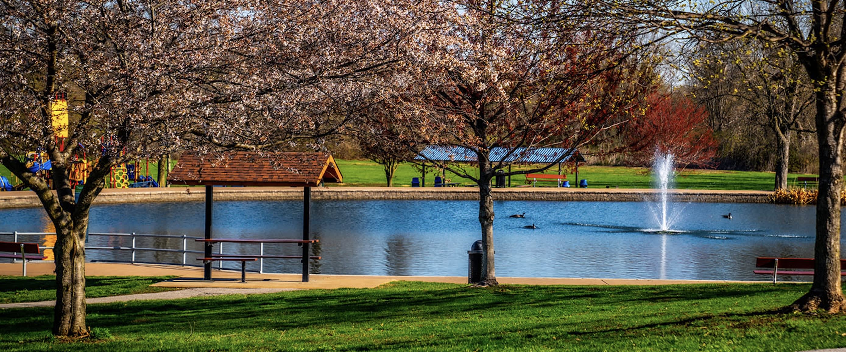 St. Louis Metro, North County