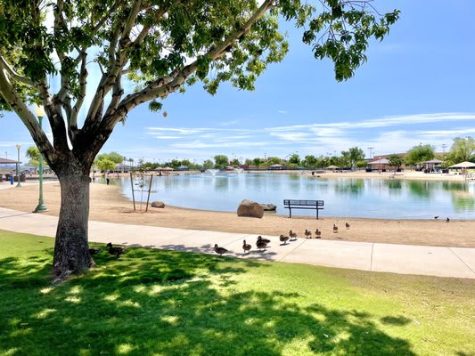 Surprise Community Park