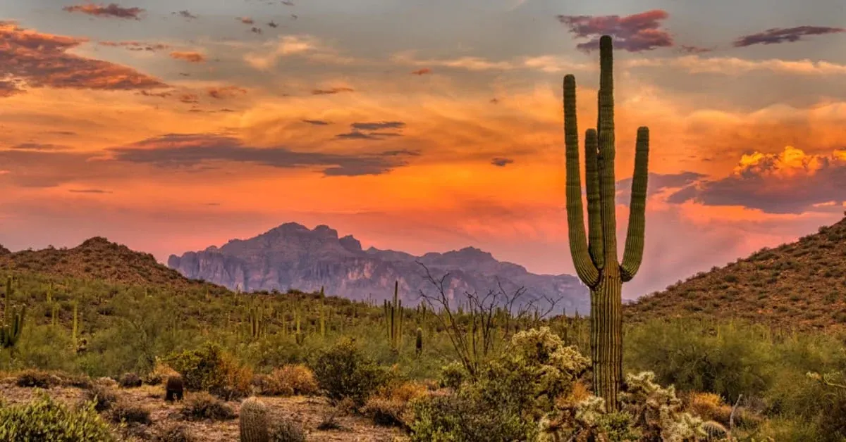 Peoria Desert Landscape