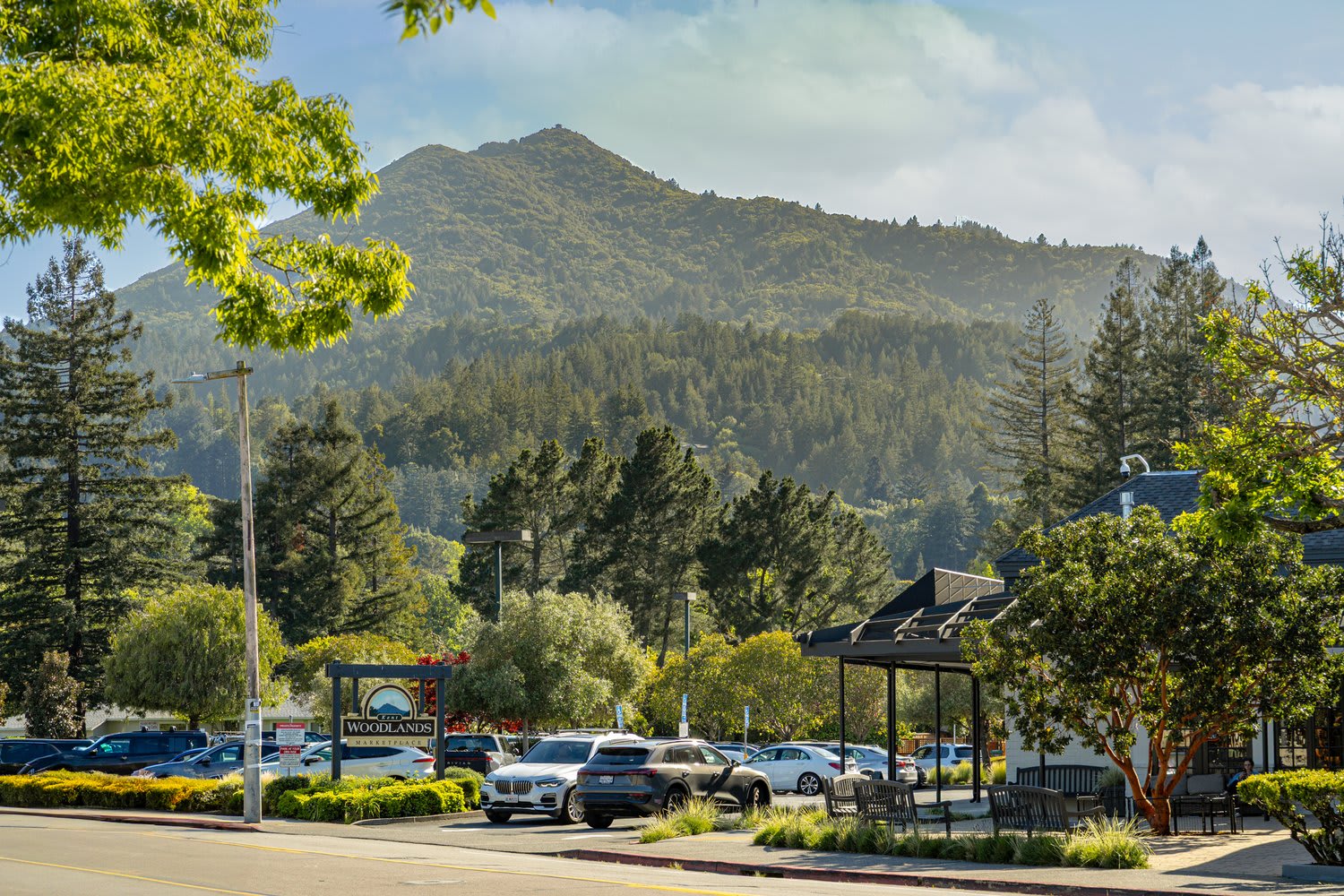 Mt. Tamalpais in Background of Kentfield