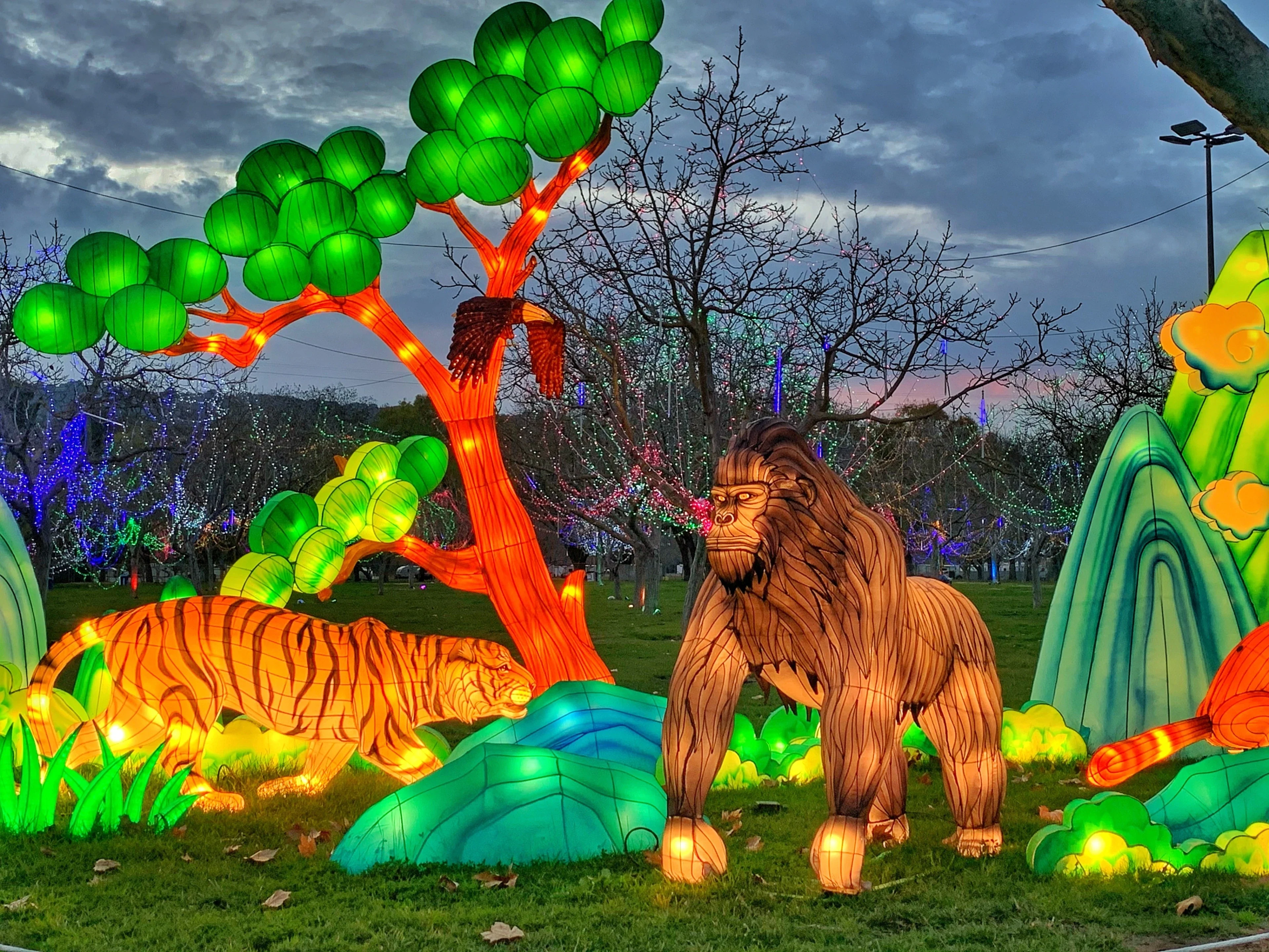 Winter Lantern Festival