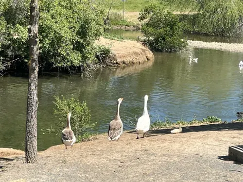 Newhall Community Park