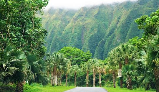  Hoʻomaluhia Botanical Garden