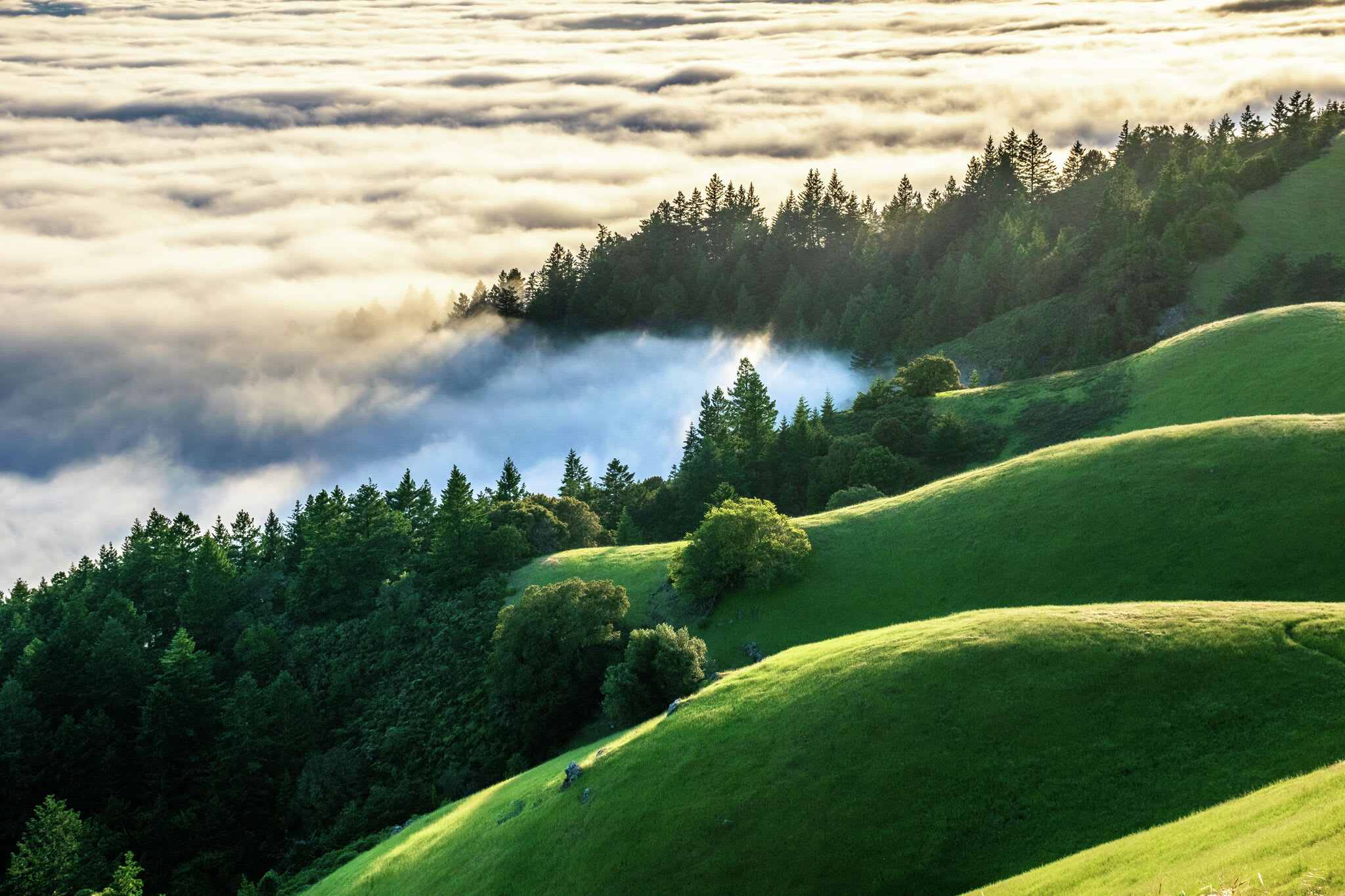 Mount Tamalpais State Park