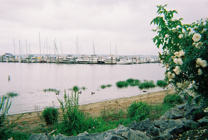 Cranston Marina