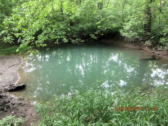 McConnell Springs 