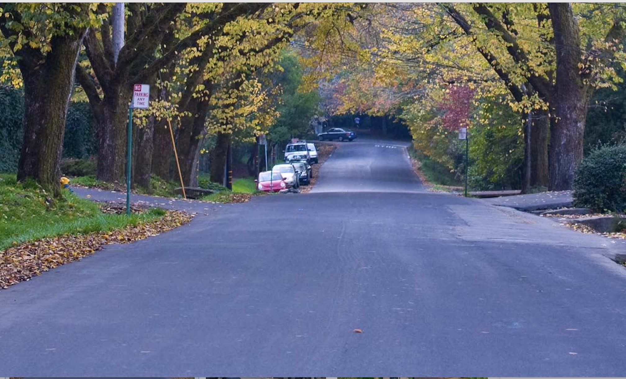 Bucolic Streets of Ross