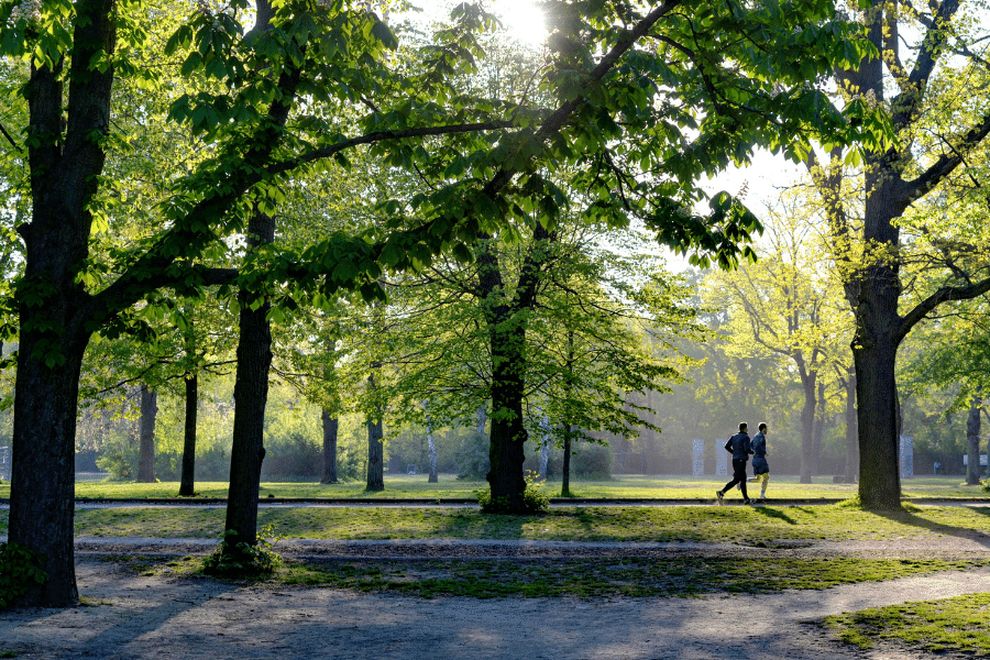 Woodlawn Estates Neighborhood