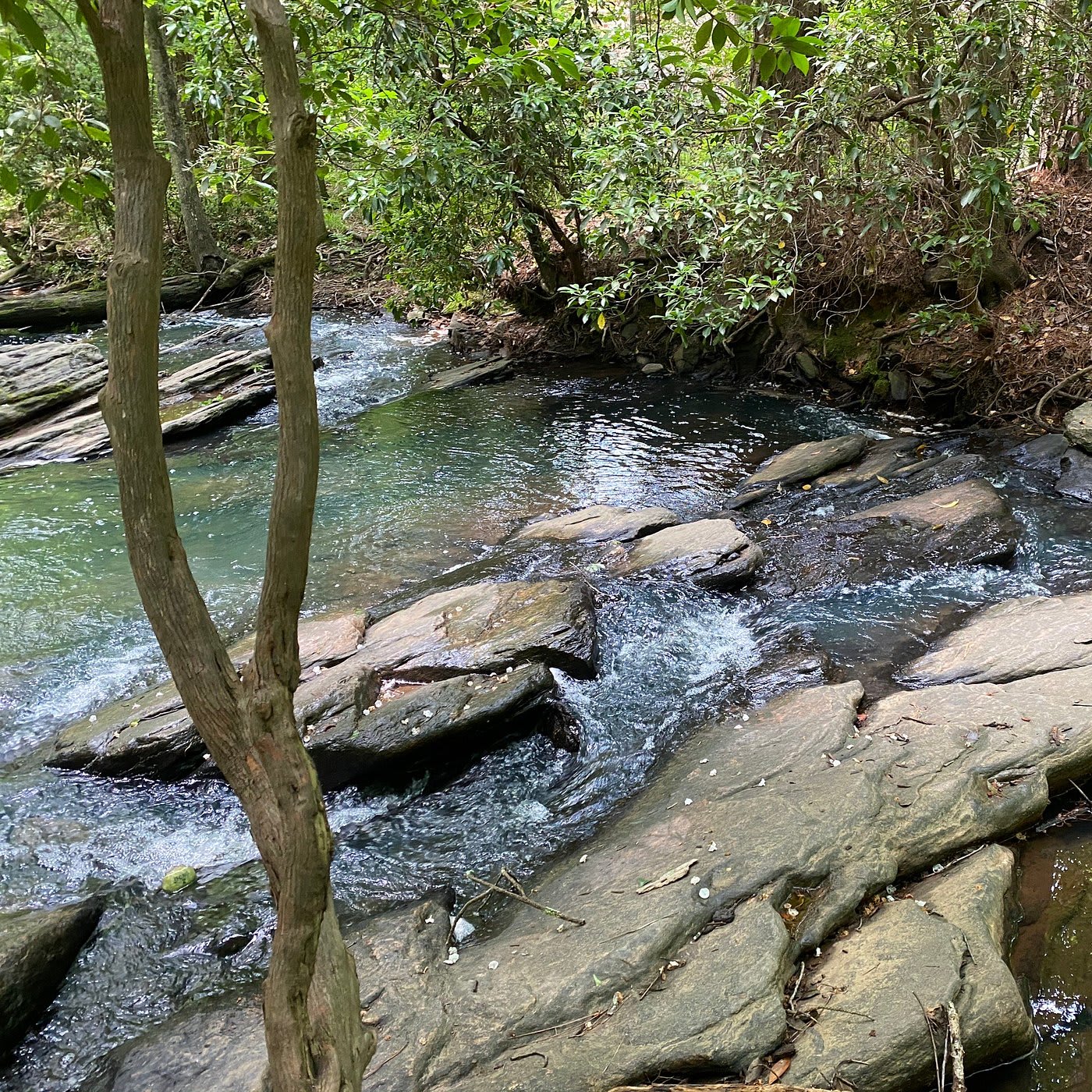 Autrey Mill Nature Preserve