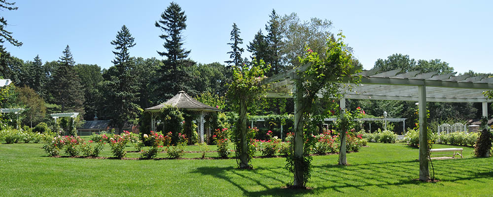 Forest Park Rose Garden