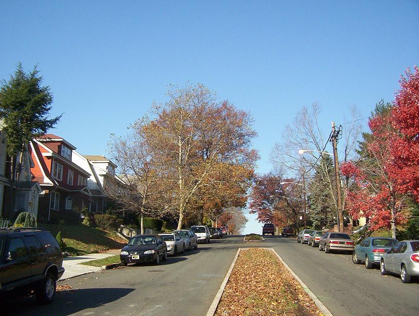 Weequahic Neighborhood