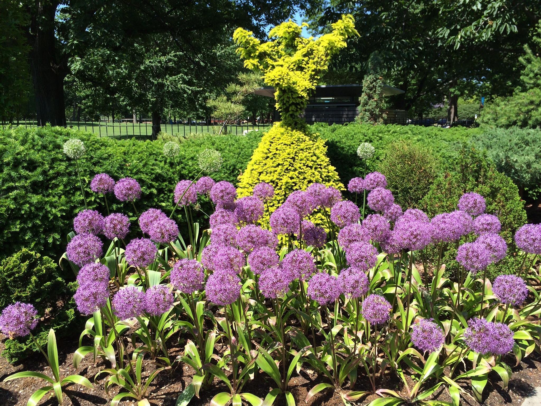 Cleveland Botanical Garden