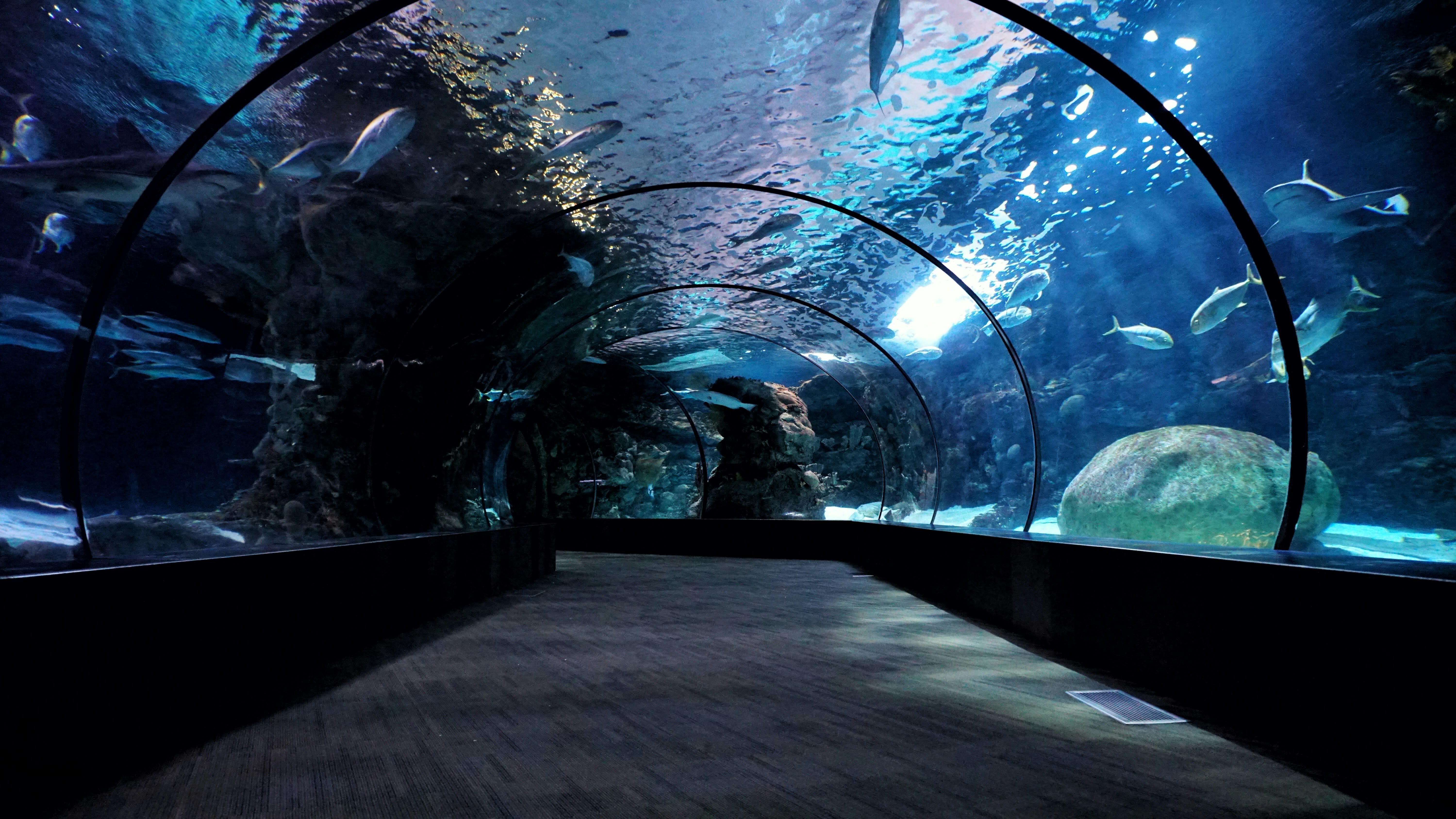 Henry Doorly Zoo & Aquarium