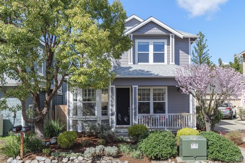 Central Larkspur, The Loop, Neighborhood