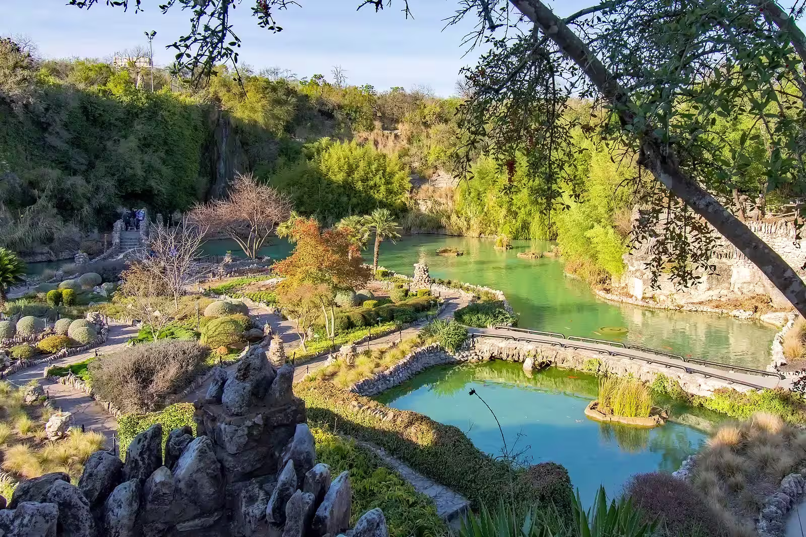 Alamo Heights Neighborhood