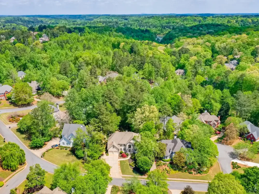 Aerial of Greenery of  East Cobb
