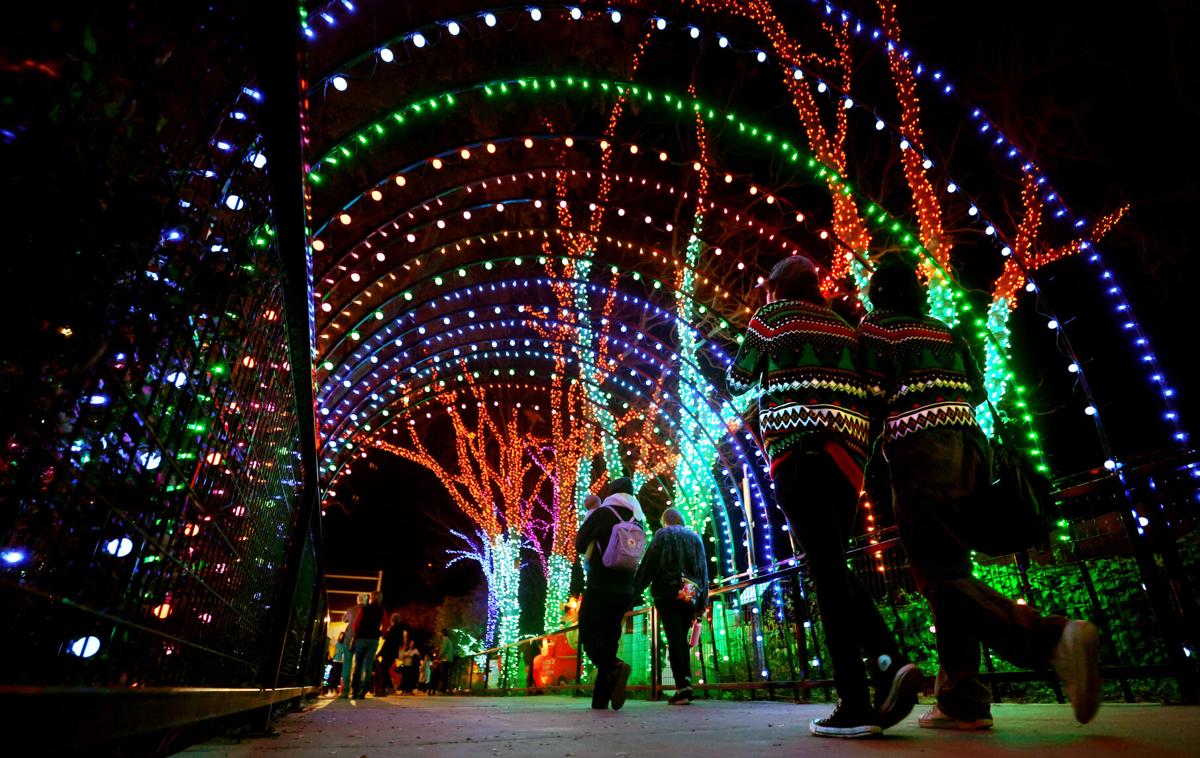 Zoolights at Reid Park Zoo