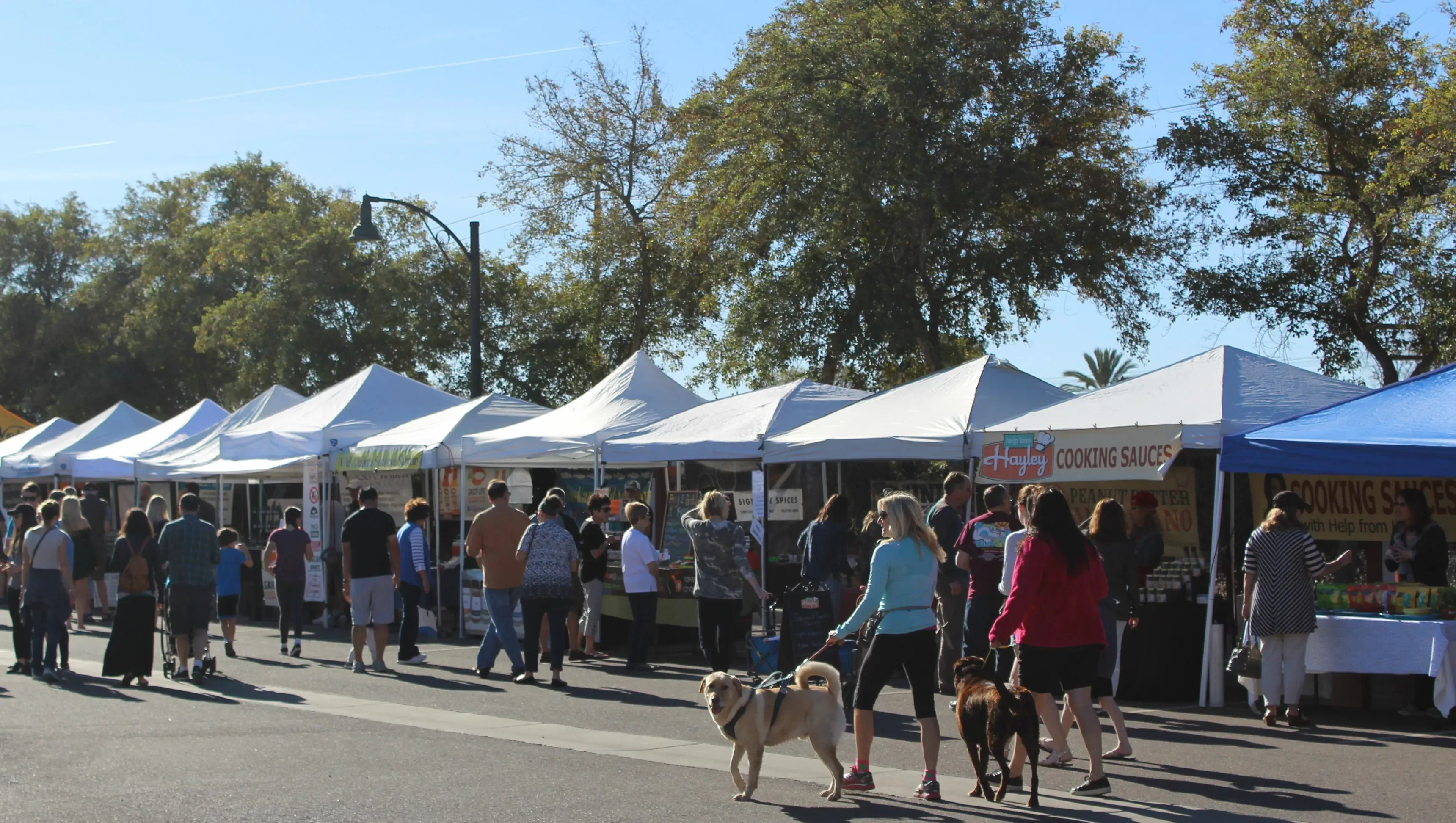 Gilbert Farmer's Market