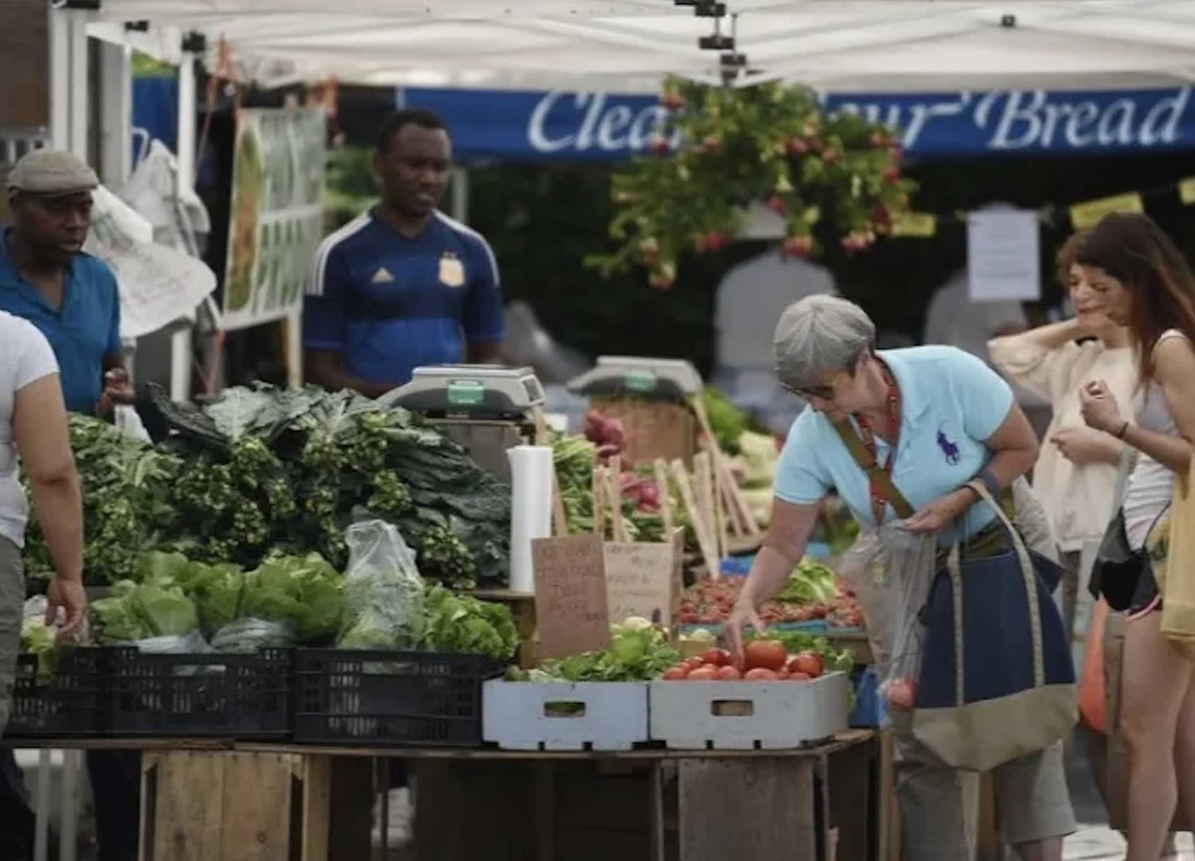 Brookline Farmer's Market