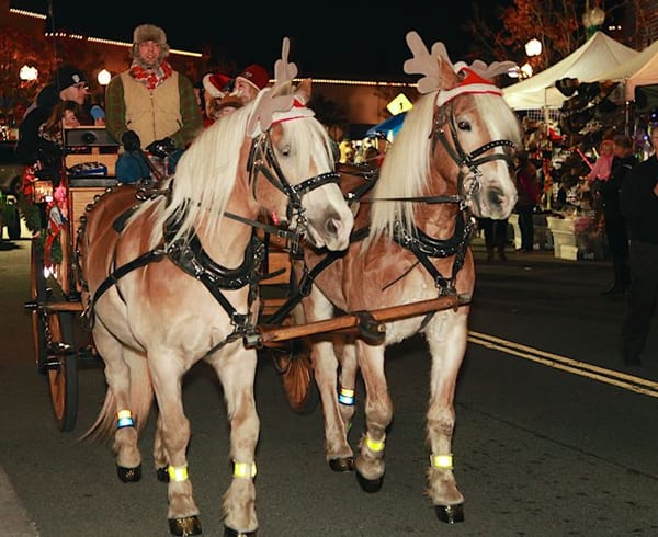 Light Up the Night Celebration