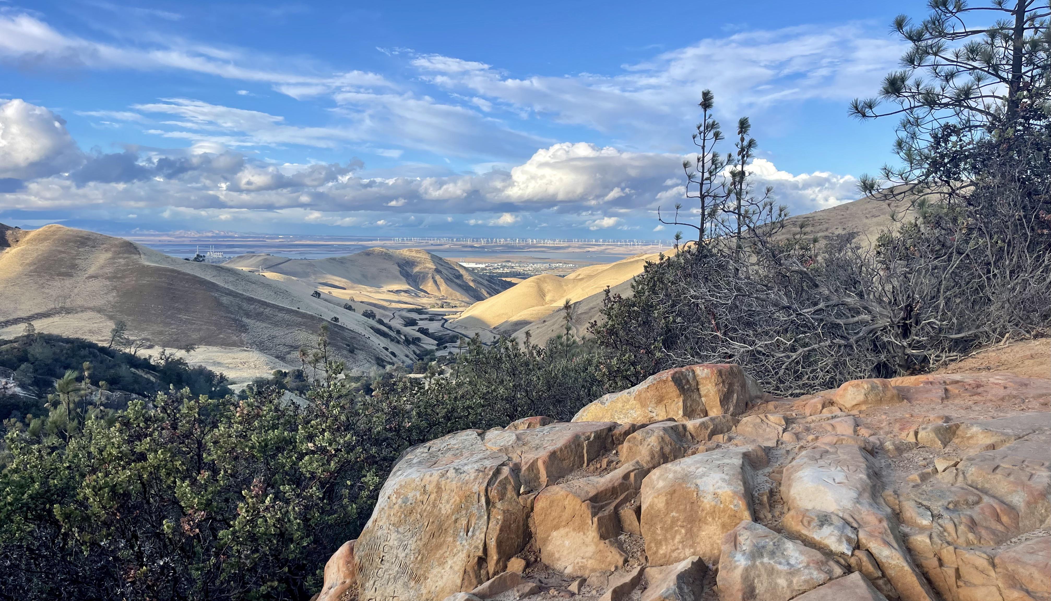 Black Diamond Mines Regional Preserve