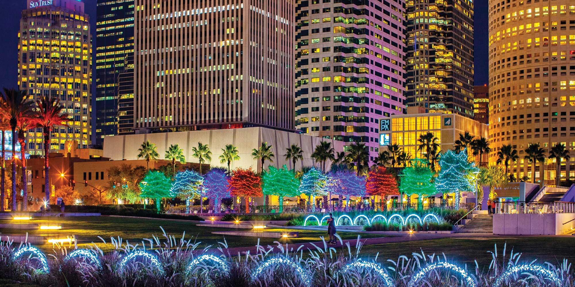 Tampa Holiday Lights