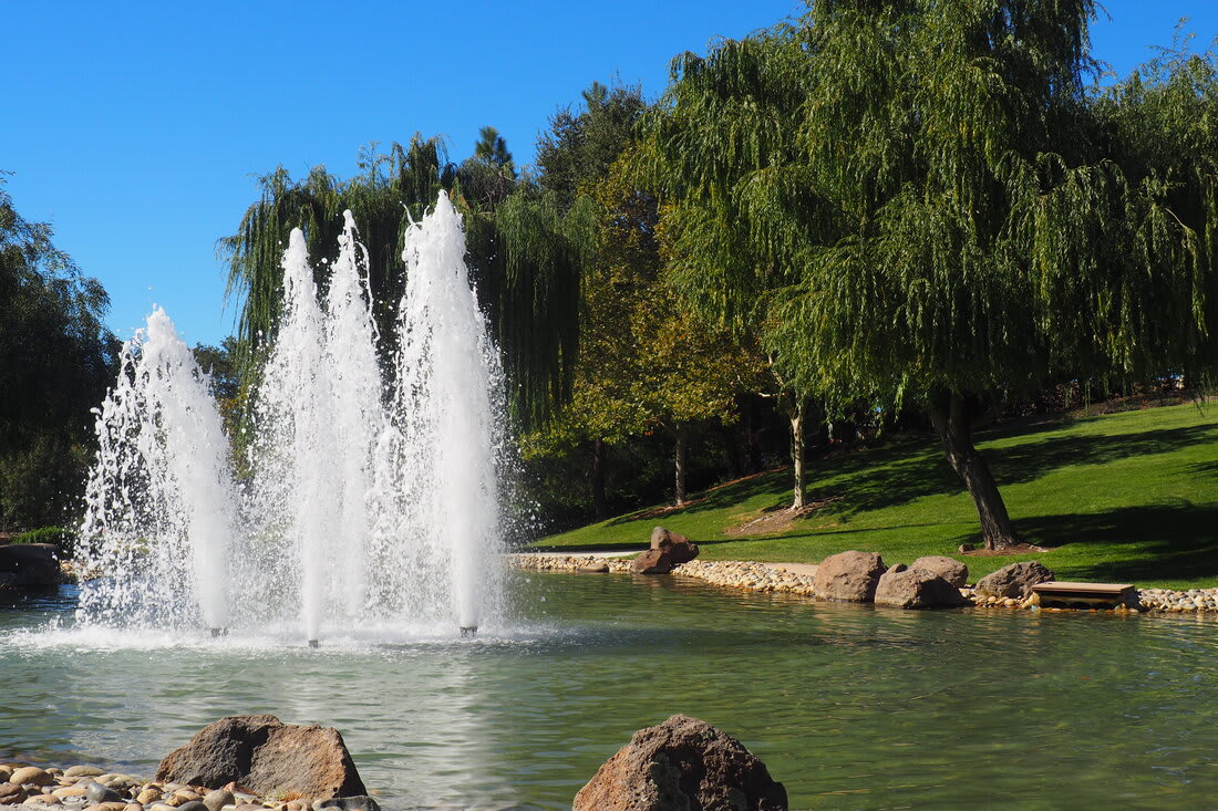 Sycamore Valley Park