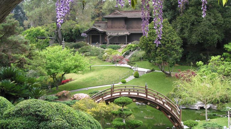 The Huntington’s Botanical Gardens
