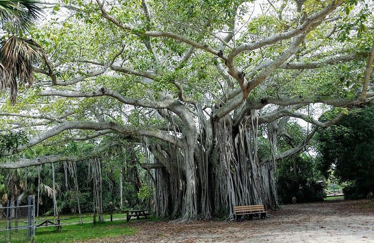Hugh Taylor Birch State Park
