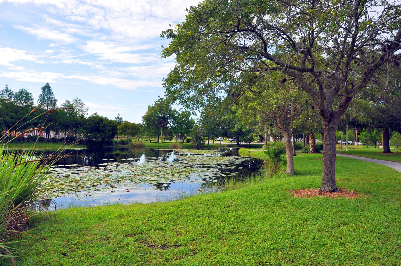 Wildlife at Payne Park