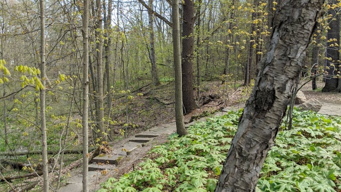 Richfield County Park