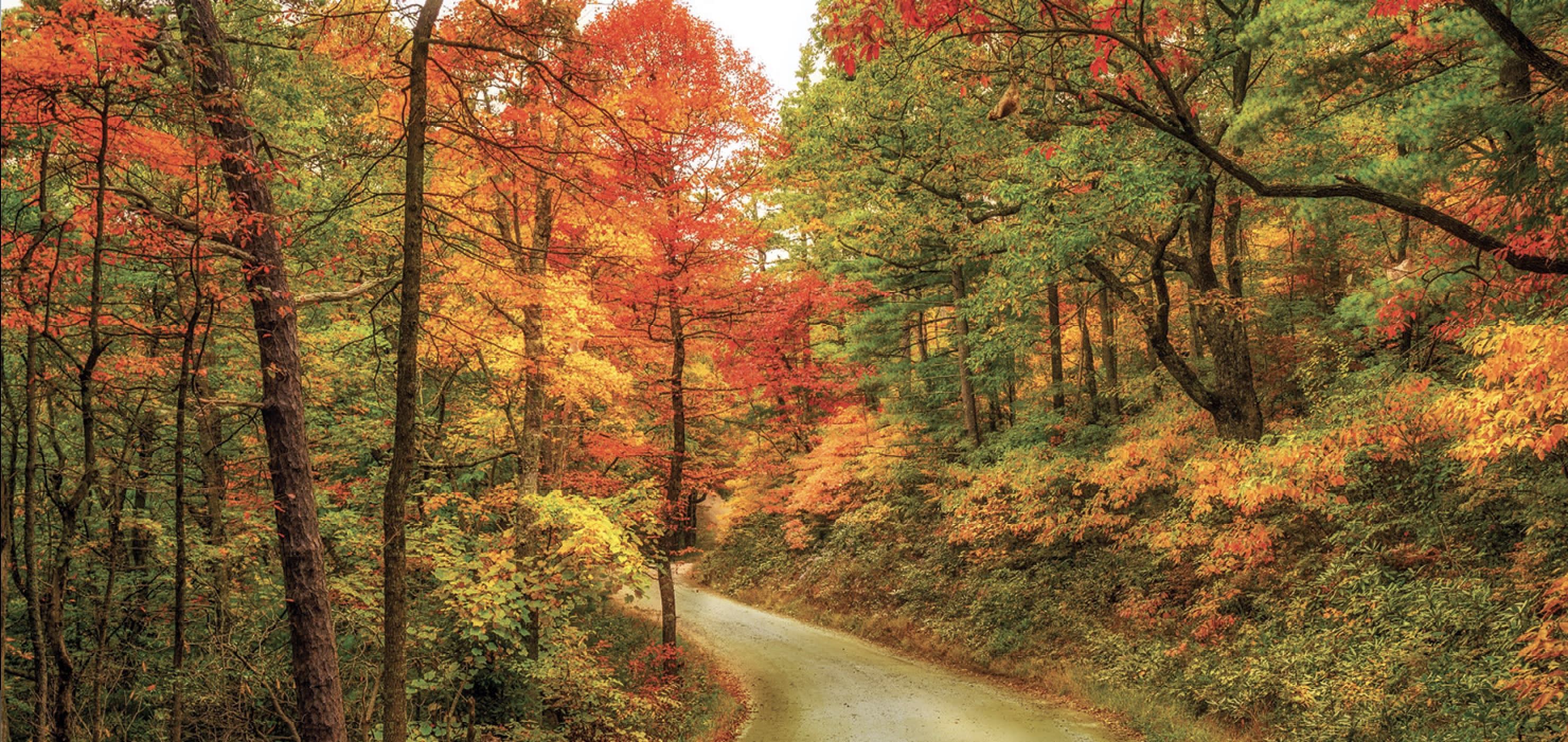 Durham: Hillsborough & Rural Orange County